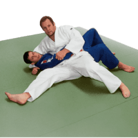 "Peter Seisenbacher" Judo and Universal Floor Mat "Peter Seisenbacher" Judo and Universal Floor Mat