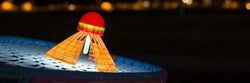 SPEEDMINTON® FUN SET SPEEDMINTON® FUN SET