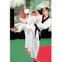 ProGame Trocellen "Tatami" Judo Mat ProGame Trocellen "Tatami" Judo Mat